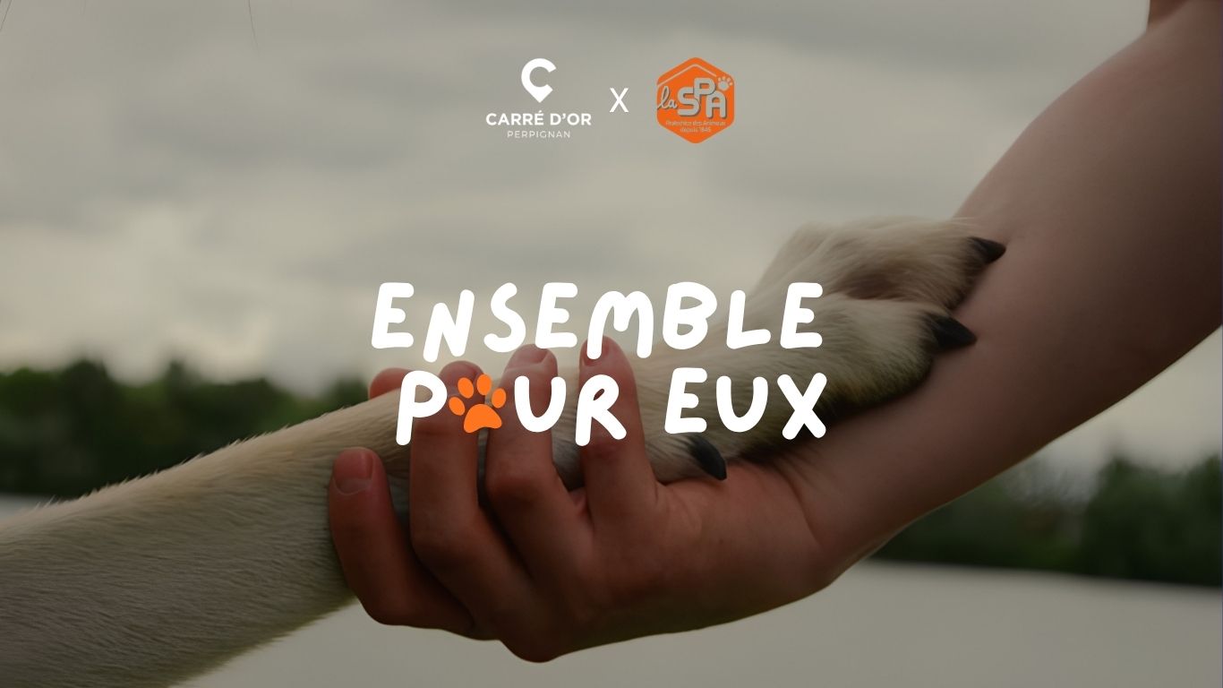 site ensemble pour eux 1